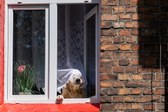 0168-G-Slubuje-Ci-milosc-wiernosc-oraz-ze-nie-opuszcze-Cie-az-do-smierci