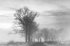 0180-G-Odcienie-szarosci