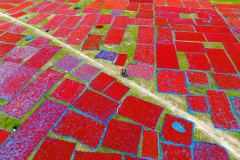 0202-G-Cycling-through-colours