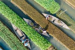 0203-G-Fighting-against-climate-change