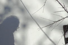 0217-G-Where-only-the-shadows-remains