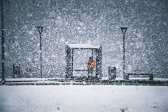 0243-G-Se-una-notte-dinverno-un-viaggiatore