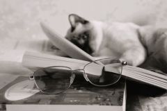 0248-G-Saturday-vibe-with-Oscar-and-the-book