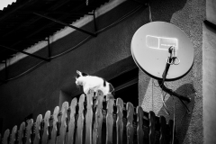 0253-G-Analogowy-odbior-zainstalowany