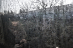 0273-G-Swiat-z-okien-pociagu-2