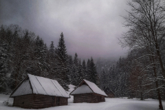 0281-G-Spokoj_w_zasniezonej_dolinie