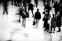 0291-G-All-and-No-One